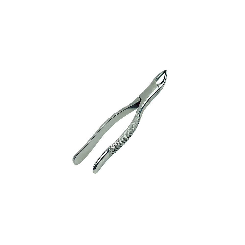 Dental Extraction Forceps